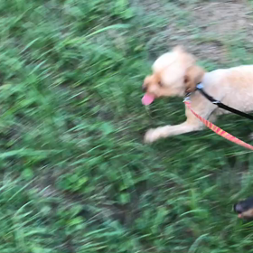 ♪お散歩動画♪代々木公園♪の画像