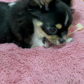 私の宝物の画像