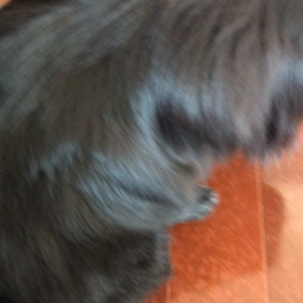 おちり☆スリスリの画像