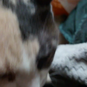 うぇ〜いの画像