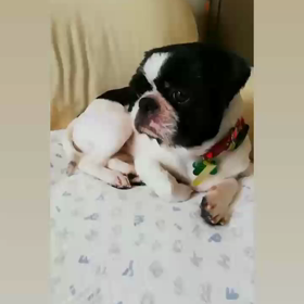 幸せな未来の画像