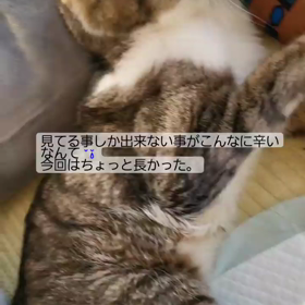 ジュンくん痙攣の画像