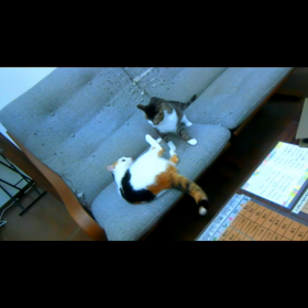 今日はいい風呂の日の画像