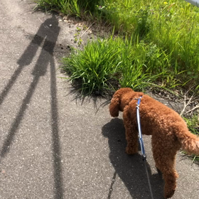 春をかんじての画像