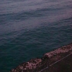 本日の釣果の続きの画像