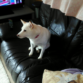 長男の部屋の画像