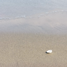 たまには海を感じてみる。の画像