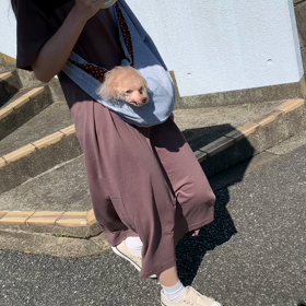 千秋最後のお散歩とカンパチの画像