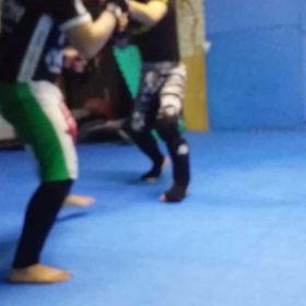 11月22日の総合格闘技スパーリングの画像