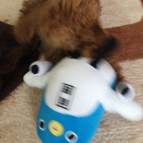 ロアとうなりくんの画像