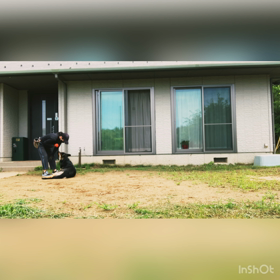 dog training❻の画像