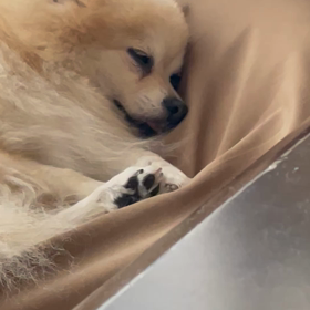 ねんね♡の画像