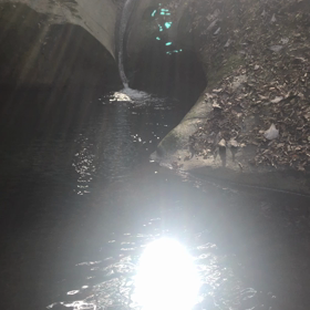龍鎮神社⛩の画像
