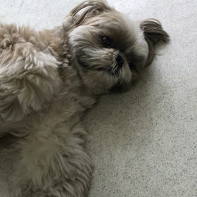 ♪プレイルーム動画♪②の画像