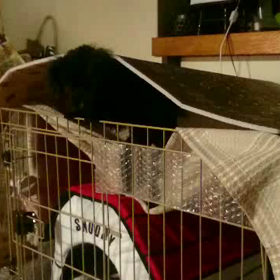 プリズンブレイクの画像