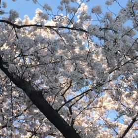 老けないの画像