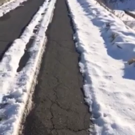 カット前に全力疾走！の画像