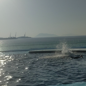 四国水族館の画像