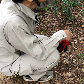 ほぼ登山！の画像