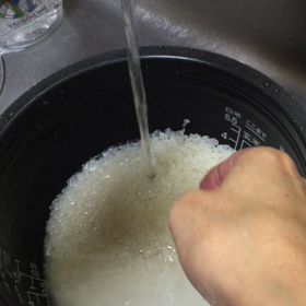 おてちゅだいちまちゅよの画像