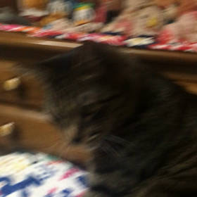 なんかイライラ・・・⁉️の画像