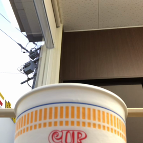 今日は温かかったの画像
