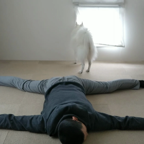 よいしょ よいしょの画像