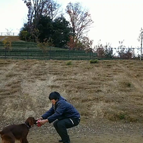 回れ回れ２の画像