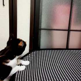 お友達発見！！の画像
