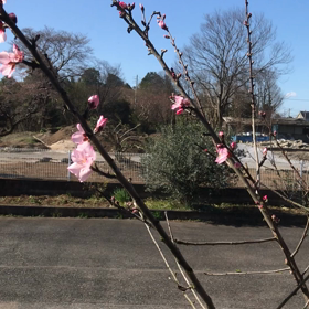 風の神さまはお怒りじゃの画像