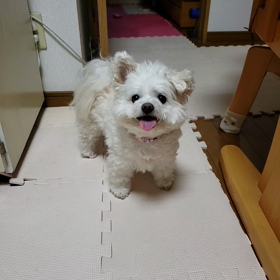 耐える時期の画像