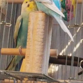 TVの音が大きいです^^;ゴメンねぇの画像