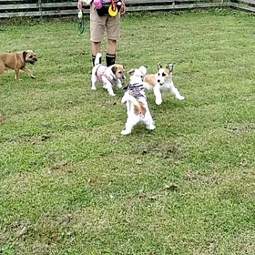 ファミリー会  2の画像