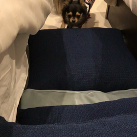 楽しい夏休み❤︎④の画像