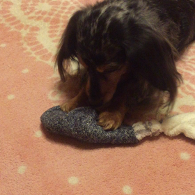 萌のその後@らむの1人遊びの画像