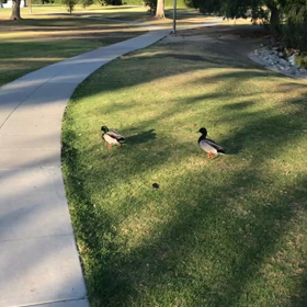 自分との戦い、始めました。【練習スタート】（←やっと、だよ！笑）の画像