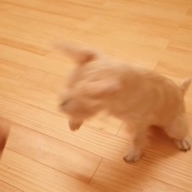 ハイタッチ！の画像