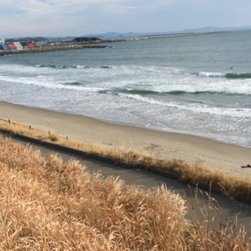 本日の新港の画像