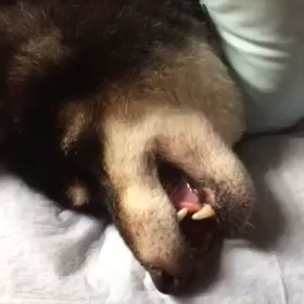 緊急、情報求むm(__)mの画像