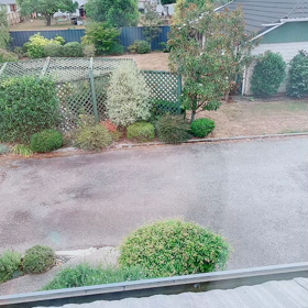 NZ旅行　2020 ひとり旅　8の画像