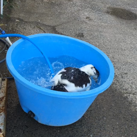 今夜も！の画像