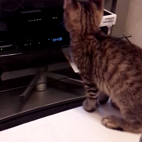 まだまだ夢中の画像