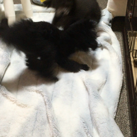 最近の様子の画像