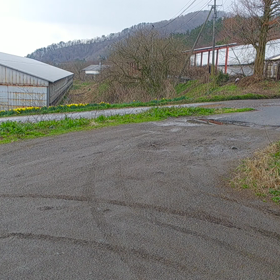 ウグイス？の画像