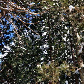 お休みの日の客層の画像