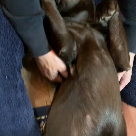 おやすみの画像