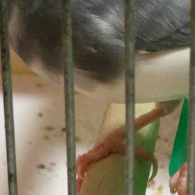 つばちん はじめて 動画を載せてみましたの画像