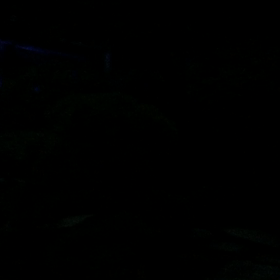 長谷寺の灯りの画像