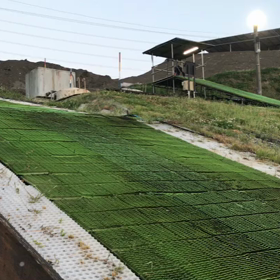 スノーボードはこんなことしてますの画像