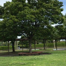 風になびくの画像